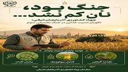 جنگ بود، نان کم نشد…
